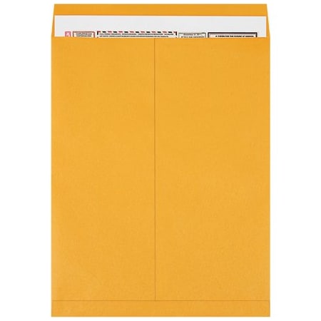 Bsc Preferred 18 x 23'' Kraft Jumbo Envelopes, 100PK BUY00019061